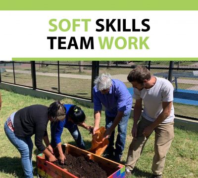 Soft Skills Certificate Team Work