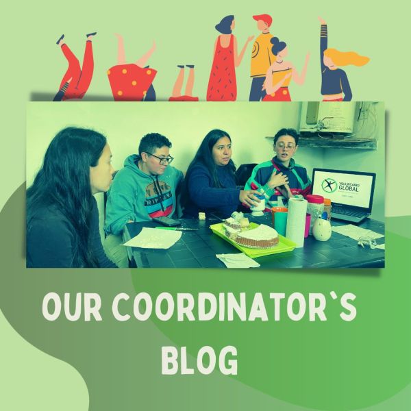 Volunteering: a learning process. Part II.
