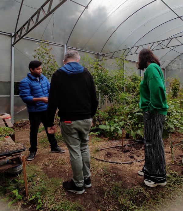 &#039;Ecology without a social fight is simply gardening&#039;: Kasia&#039;s experience at Comunidad Milpa