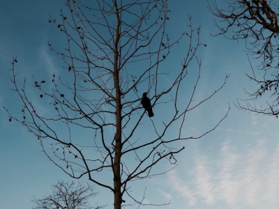 The same Sky